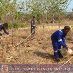 Kreatif, Lanudal Kupang Ubah Lahan Tandus Berkarang Jadi Lahan Konservasi Gaharu dan Cendana