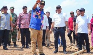 APBD 2024, Pemprov Sulsel Anggarkan Rp150 Miliar Budidaya Tanaman Pisang, Ini Tanggapan DPRD