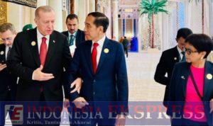 Indonesia -Turki akan Terus Kerja Sama Bantu Palestina