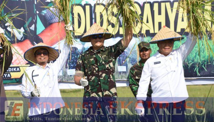 Danrem 044/Gapo Penen Raya Di Lempuing, OKI Menjadi Lumbung Pangan Nasional