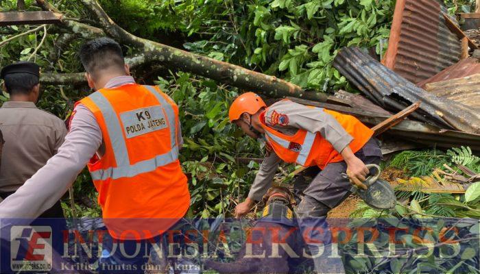 Brimob Bergerak Bantu Evakuasi Korban Banjir dan Longsor di Jateng