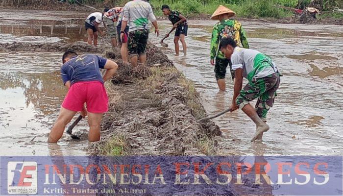 Satgas TMMD ke-123 dari Kodim 0905/Balikpapan Berhasil Mewujudkan Ketahanan Pangan Melalui Program Cetak Sawah