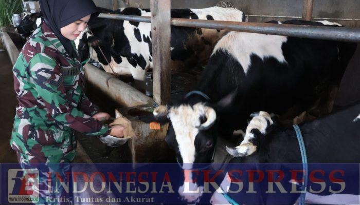Kartini Zaman Now: Sertu Mira Martika, Kowad Tangguh Pahlawan Pangan dan Gizi