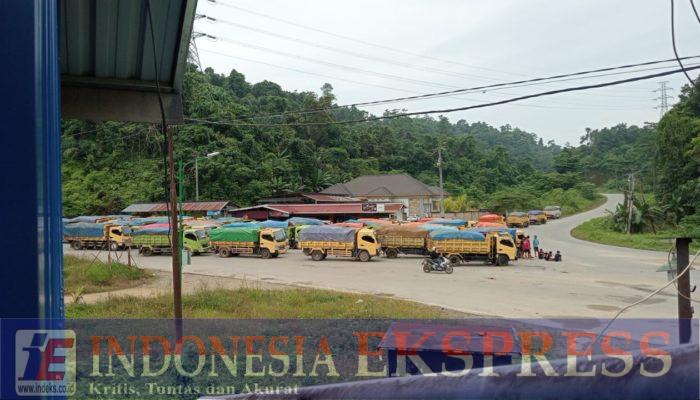 Penambang Nikel di Sultra Langgar Aturan, PT ST Nickel Resources Gunakan Jalan Umum untuk Hauling