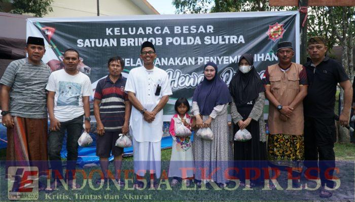 Sat Brimob Polda Sultra Kurbankan 130 Ekor Sapi dan 1 Kambing pada Idul Adha 1446 H