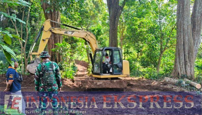 Membelah Hutan, Membangun Harapan di Kaki Gunung Wilis