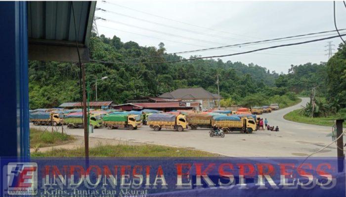 Pelanggaran PT ST Nickel Resources Kian Terang, Tim Terpadu Sultra Dinilai Tak Bertaji