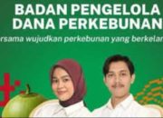 BPDP Buka Lowongan Kerja Nasional, Terima Lulusan D3–S1 Berbagai Jurusan hingga 31 Oktober 2025