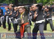 Mengenal Pencak Silat Militer, Beladiri Wajib TNI AD