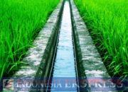 Soppeng Raih 9 Proyek Irigasi Senilai Rp 20,47 Miliar: Bukti Kepemimpinan Progresif Bupati Suwardi Haseng