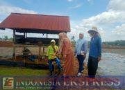 Personel BPP Liliriaja Lakukan Pengamatan Persemaian untuk Antisipasi Serangan Hama