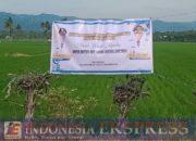 Kinerja Infrastruktur Nyata, Pemerintahan Suwardi Haseng–Selle KS Dalle Tuai Apresiasi Warga