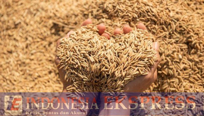 Bupati Soppeng Imbau Petani Waspadai Tengkulak Nakal, Pilih Mitra Resmi yang Transparan