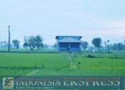 ATR/BPN: Asas Kontradiktur Delimitasi Jadi Kunci Kepastian Batas Tanah