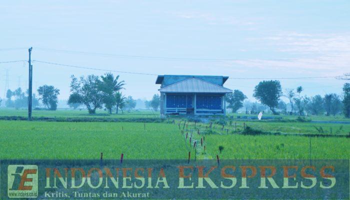 ATR/BPN: Asas Kontradiktur Delimitasi Jadi Kunci Kepastian Batas Tanah