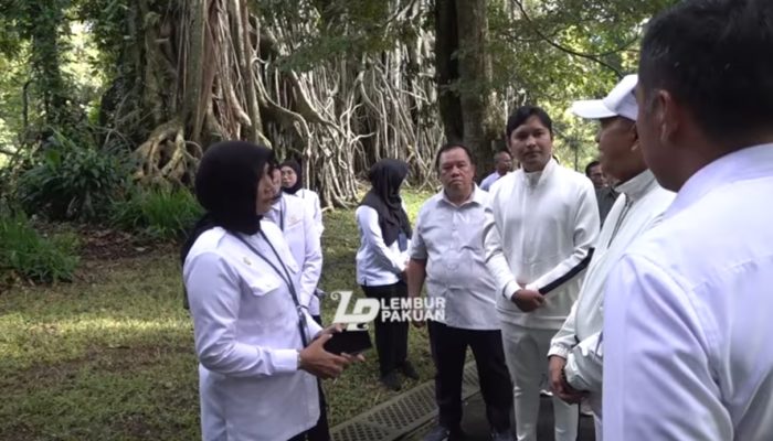 Dedi Mulyadi: Menanam Pohon hingga Rimbun Lebih Sulit daripada Bangun Jalan Tol