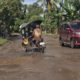 Jalan Rusak dan Negara yang Terlambat Hadir