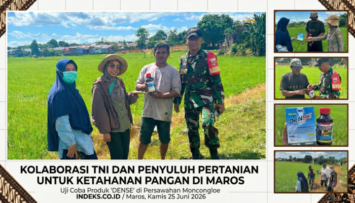 Cegah Penyebaran Hama Padi, Babinsa Bersama PPL dan POPT Salurkan Bantuan Insektisida kepada Petani di Maros