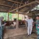 Babinsa dan PPL Tinjau Peternakan Sapi-Kambing serta Pertumbuhan Padi di Moncongloe