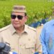 Presiden Prabowo: Swasembada Pangan dan Energi Jadi Bukti Nyata Kemandirian Bangsa