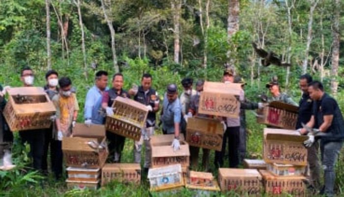 Selamat dari Penyelundupan, 977 Burung Bernapas Bebas di Register III Gunung Rajabasa