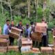 Selamat dari Penyelundupan, 977 Burung Bernapas Bebas di Register III Gunung Rajabasa