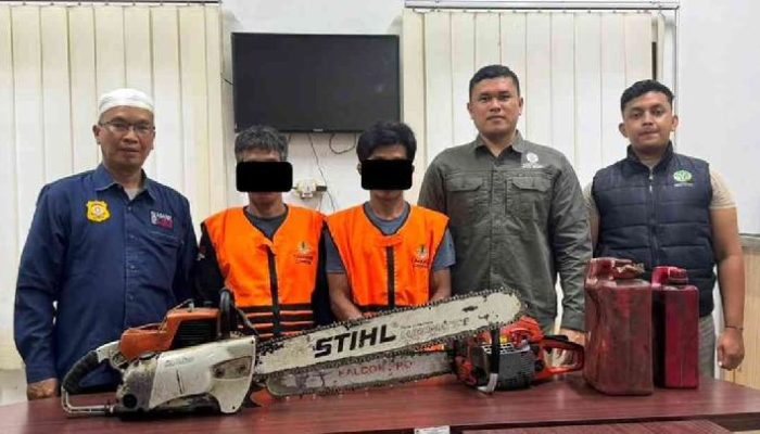 Dua Orang Ditetapkan Sebagai Tersangka Kasus Pembalakan Liar Hutan