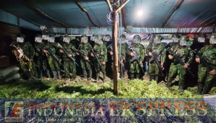 Satgas Yonif 725/Woroagi Temukan Sekitar 5.000 Batang Ganja di Yahukimo