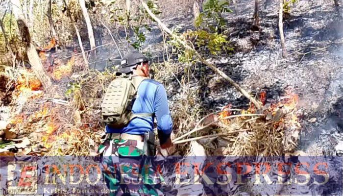 TNI-Polri dan BPBD Berhasil Padamkan Kebakaran Hutan Jati di Trenggalek
