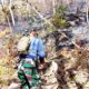 TNI-Polri dan BPBD Berhasil Padamkan Kebakaran Hutan Jati di Trenggalek