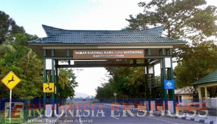 Dugaan Jual Beli Lahan di Taman Nasional Rawa Aopa Watumohai Disorot, Aparat Diminta Usut Tuntas, Pelaku Terancam 15 Tahun Penjara