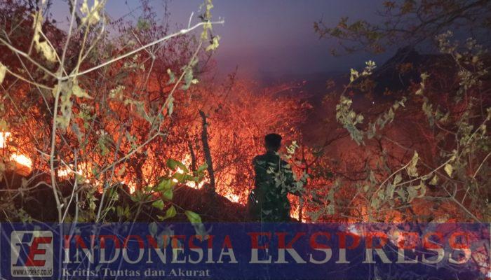 Karhutla di Coppo Pelli Soppeng Meluas, Babinsa dan Tim KPH Walanae Berjibaku Padamkan Api hingga Malam