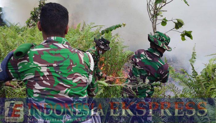 1 SSK Yonif TP 825 Serbu Karhutla di Morowali Utara, Api Dilokalisir Agar Tak Dekati Permukiman