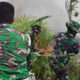 1 SSK Yonif TP 825 Serbu Karhutla di Morowali Utara, Api Dilokalisir Agar Tak Dekati Permukiman
