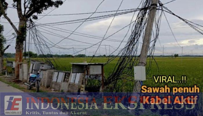 Listrik Masuk Sawah: Solusi Petani atau Beban Baru di Tengah Ancaman Krisis Pangan?
