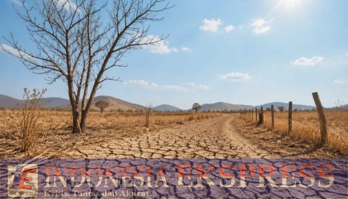 Kemarau Panjang Melanda Soppeng, Warga Diminta Waspada Ancaman Kebakaran