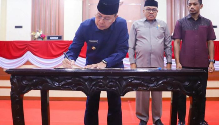 Perubahan KUA-PPAS 2026 Disepakati, Pemprov Sultra Tambah 7 Ambulans Laut