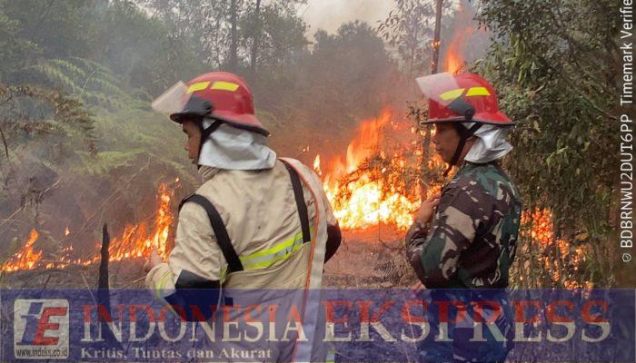 Karhutla 3 Hektare di Kutai Barat Dipadamkan, Prajurit Brigif TP 85/BTC Bergerak Cepat