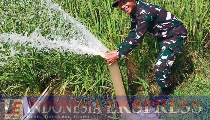 Babinsa Dampingi Petani Membuat Sumur, 39,8 Hektare Sawah di Luwu Diharapkan Dapat Ditanami Tiga Kali Setahun
