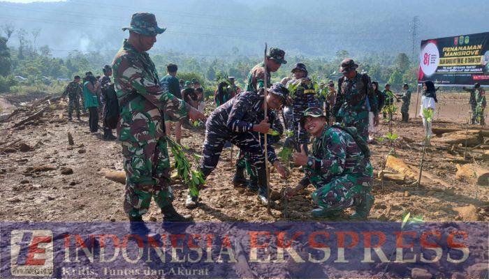 Peringati HUT TNI ke-81, Kodim 1403/Palopo Tanam 2.500 Mangrove di Pesisir Luwu Timur