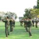 Asah Kemampuan Jarak Dekat, Prajurit Kodim 1403/Palopo Gembleng Diri Lewat Pencak Silat Militer