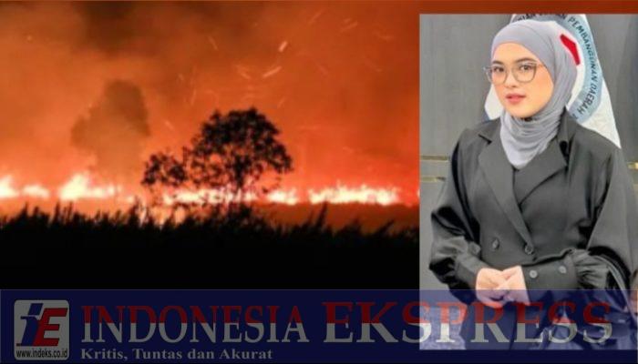 KARHUTLA: HUTAN TERBAKAR ATAU DIBAKAR