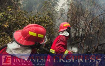 Memburu Bara di Balik Kepulan Asap, Satgas Darat Lanud Sjamsudin Noor Tak Beri Ruang Karhutla Kembali Menyala