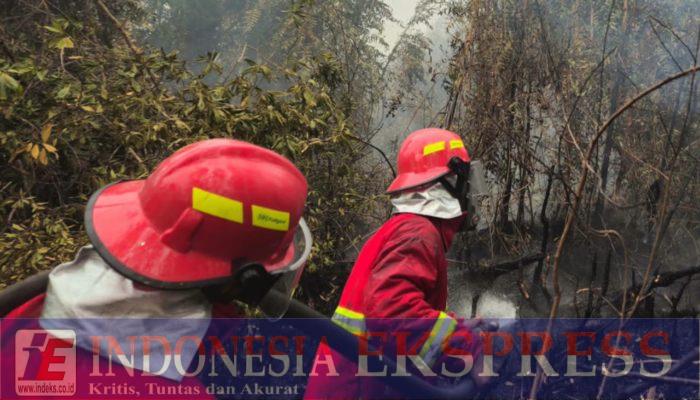 Memburu Bara di Balik Kepulan Asap, Satgas Darat Lanud Sjamsudin Noor Tak Beri Ruang Karhutla Kembali Menyala